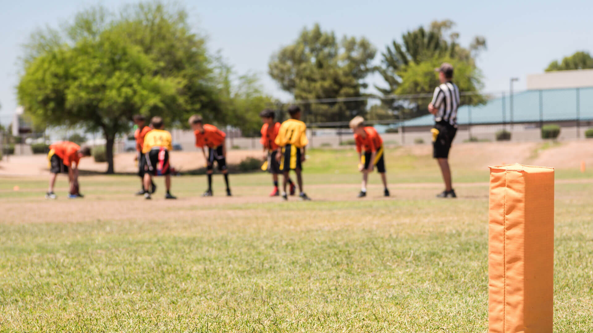 Protecting Your Child's Teeth During Physical Activities